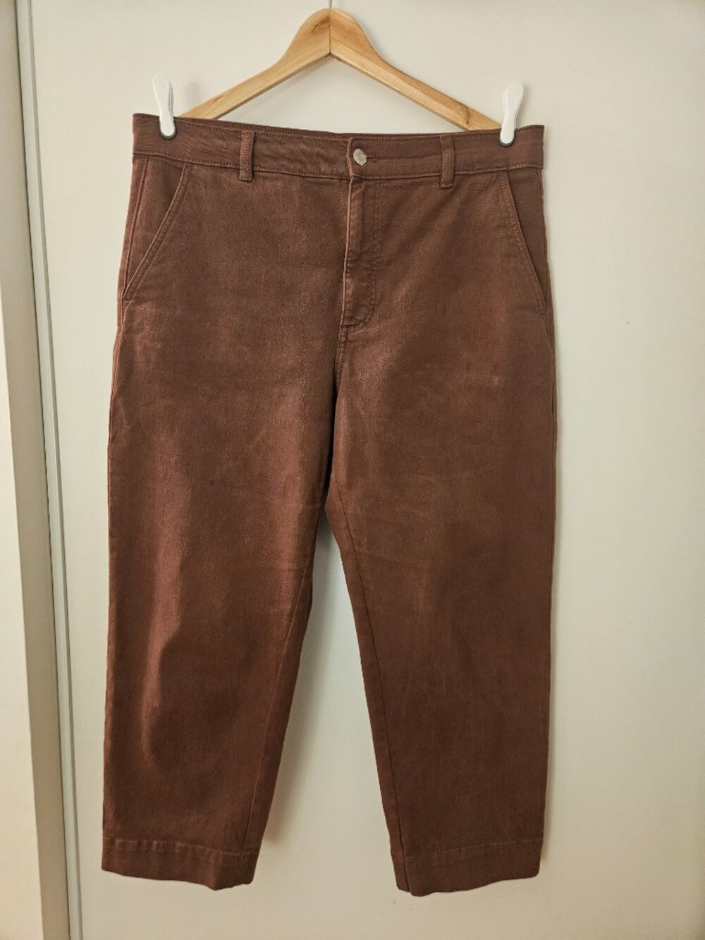Everlane Straight Leg Pants in Brown